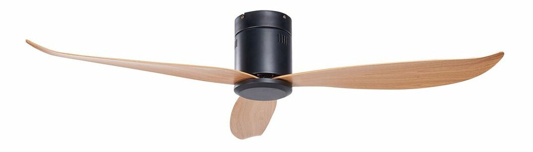 Stropný ventilátor so svetlom Malza (čierna)