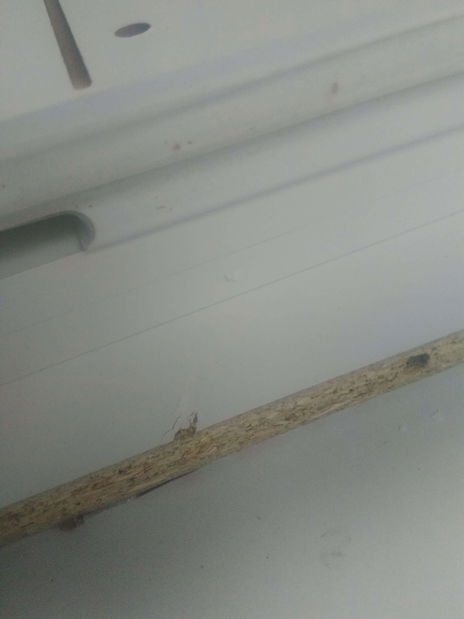 Comodă Sallosa 4 (alb + alb lucios) *resigilat