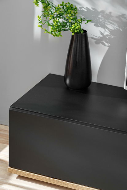 Mobilier living Salk (stejar ribbeck + negru)