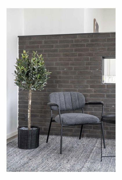 Olivovník Oslavia 2 (zelená)