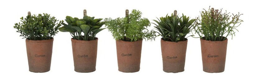 Kvetina Jolipa (Zelená) (5ks)