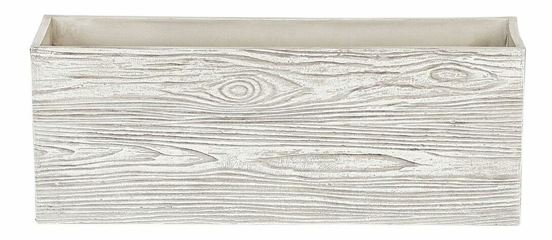 Saksija Paose (bijela)