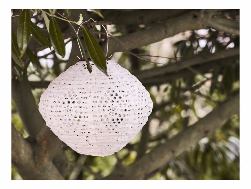 Felinar Hildoria (alb)