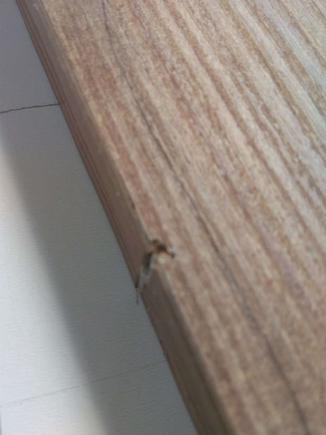 Regál Zorro (Borovica atlantic) *bazár