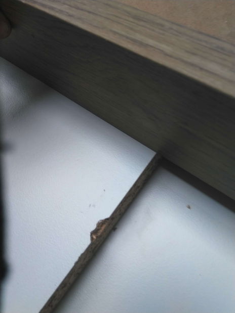 Măsuță TV/Dulap Damien (alb + nuc deschis) *resigilat