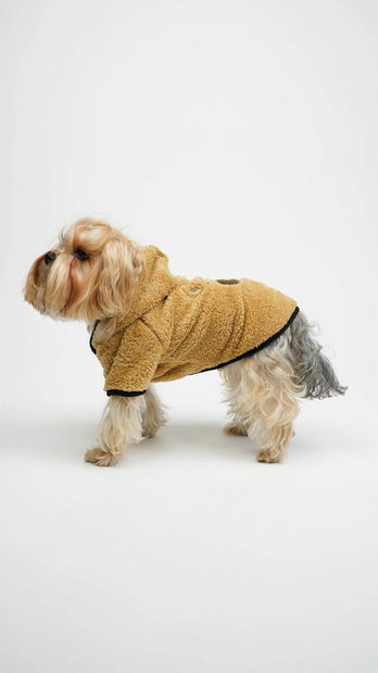 Bunda pre psa Tedi (zelená)