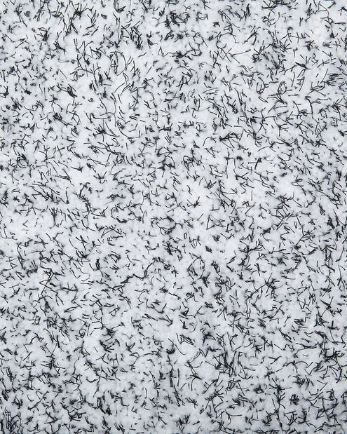 Szőnyeg 200 cm Damte (szürke)