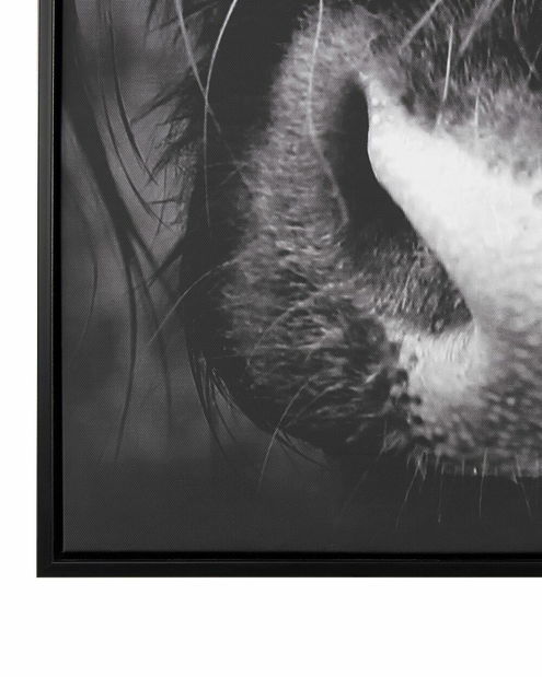 Obraz 63 x 93 cm GELETTA (čierna)