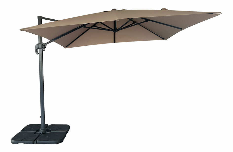 Slnečník Biveria (piesková)