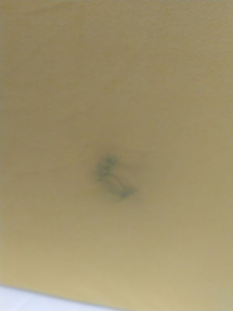 Canapea extensibila Plantearan (galben) *resigilat