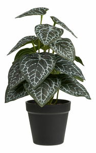 Umelá rastlina Anavania 2 (zelená)