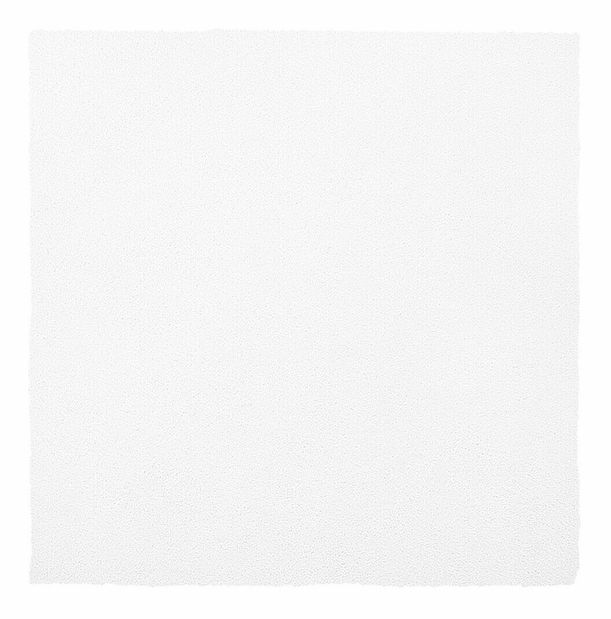 Tepih 200x200 cm Damte (bijela)