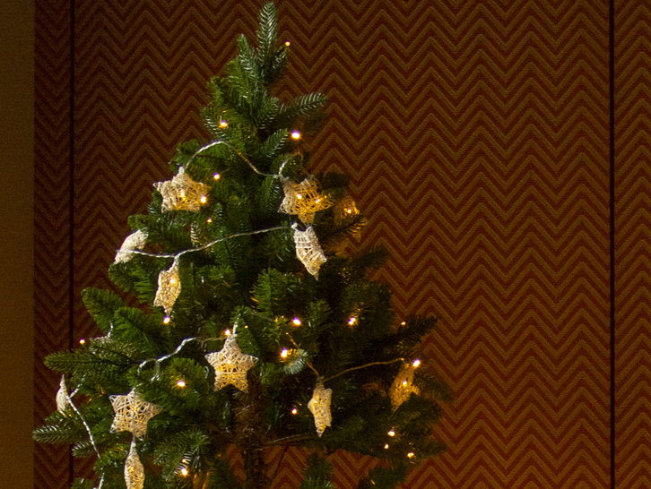 Božićna zvjezdana zavjesa Retlux RXL 249