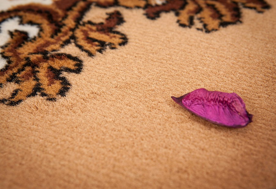 Kusový koberec Sahara 102 Beige