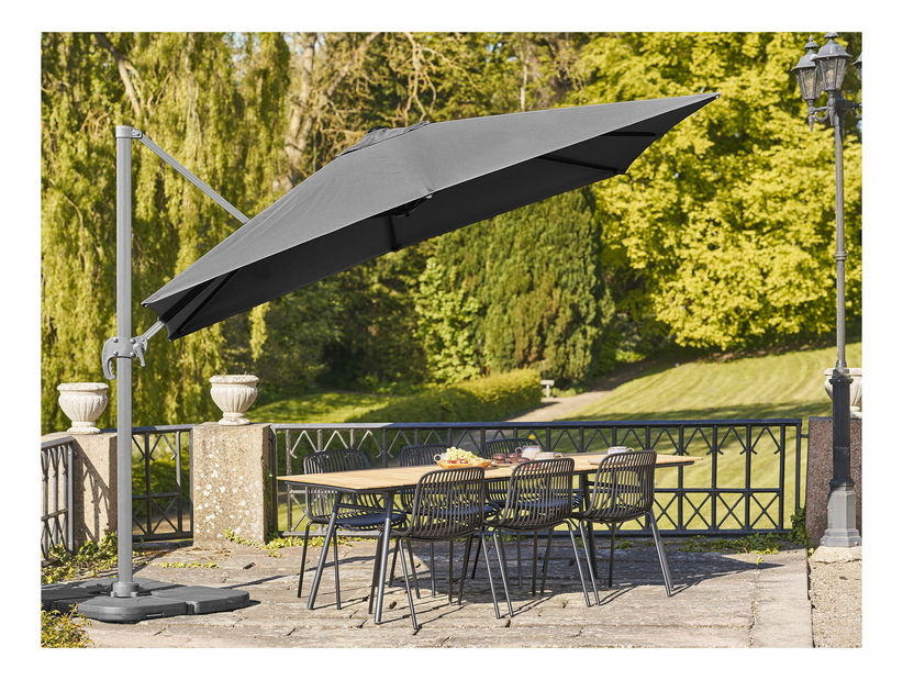 Slnečník Biveria (čierna)