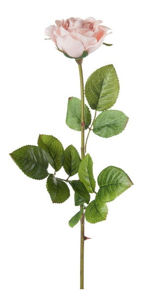 Kvetina Jolipa Ruža (60x10x10cm) (Fuchsia)