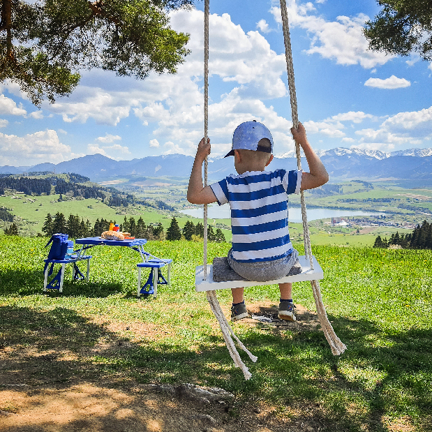 Balansoar pentru copii Svinny