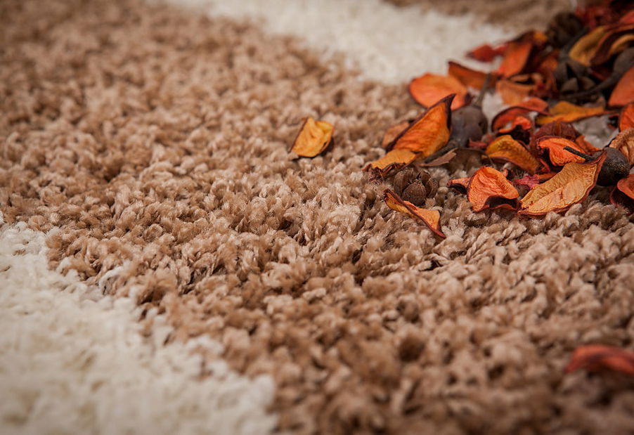 Kusový koberec Joy 117 Beige