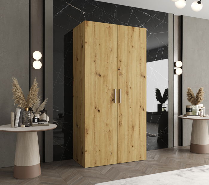 Šatníková skriňa 100 cm Borry 1 (dub artisan + strieborná)