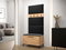 Mobilier hol Futura III (stejar craft + negru)