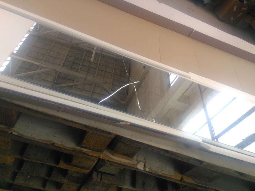 Hol Mila (alb) *resigilat