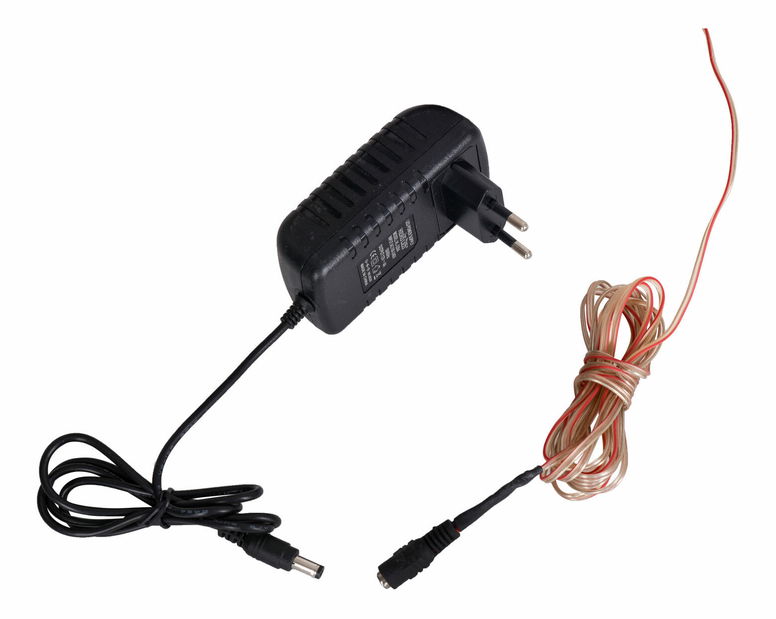 Fali dekoráció Coala