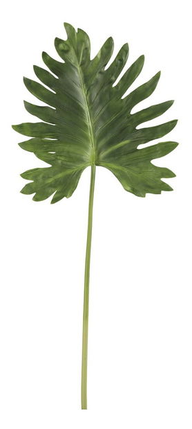 Vetvička Jolipa Raw Ethnic (zelená) 106cm 