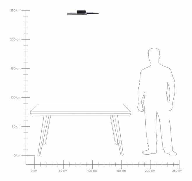 Mennyezeti lámpa Oksza (fekete)