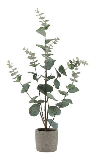 Vetvička Jolipa Caribbean Treasure (zelená) 48cm 