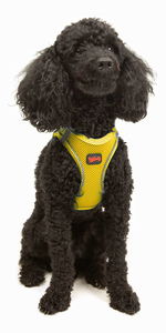 Postroj pre psa Airy (žltá) (S)