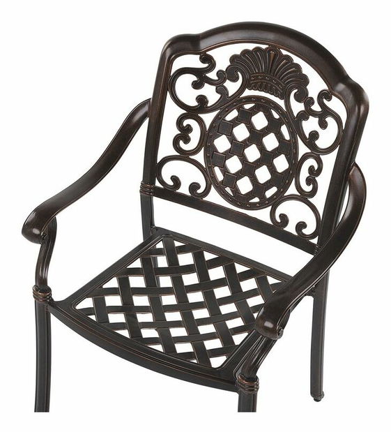 Kerti szék szett 4 db SALIO (műanyag) (barna)