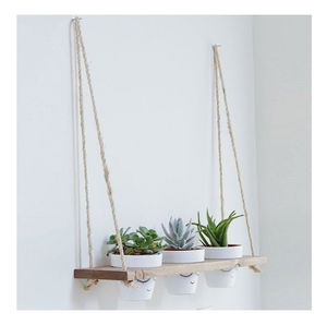 Polica Tulimu 1 (orah)