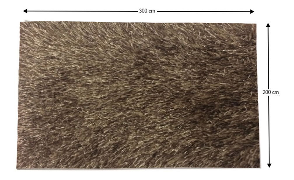 Szőnyeg 200x300 cm Garby (barna)