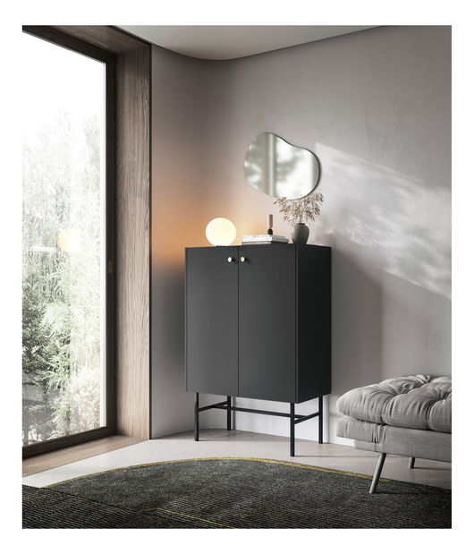 Dulap Desanta 2D (negru)