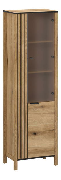 Vitrină Hemos 1 (stejar evoke) (D)