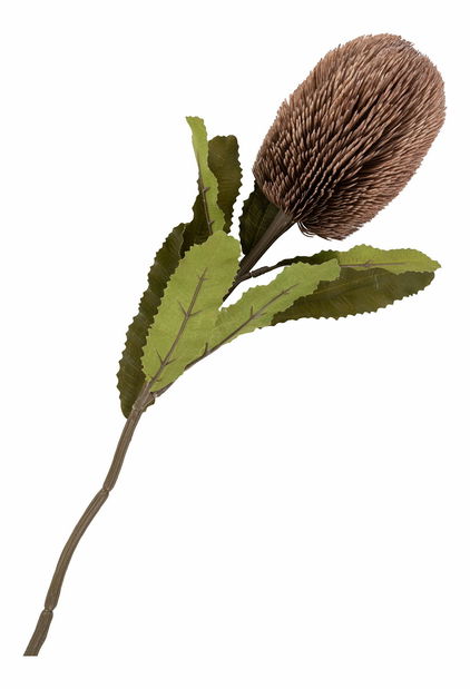 Kytica Koravina 1 (bordová)