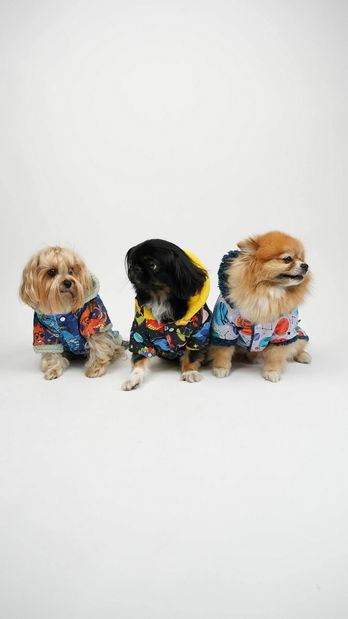 Bunda pre psa Cosmia (viacfarebné) (S)