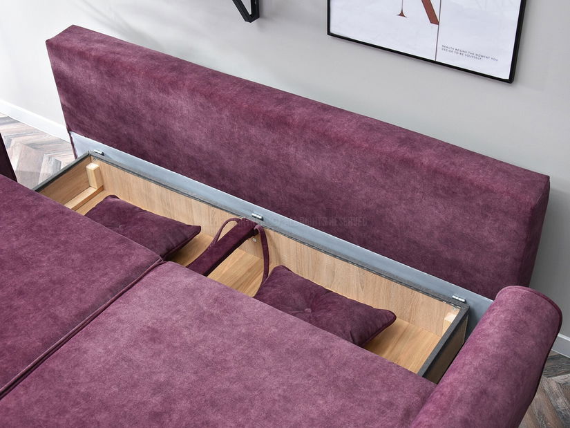 Dvosjed Bacteria (crna)