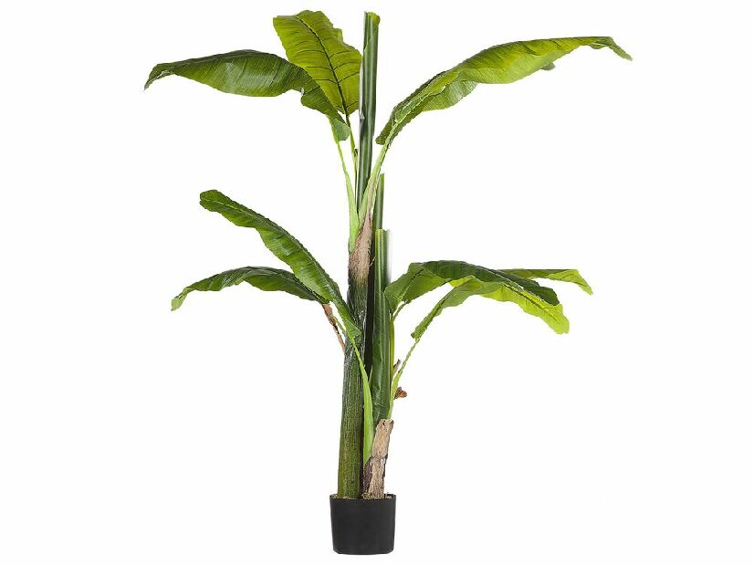 Plantă artificială 154 cm BANNA