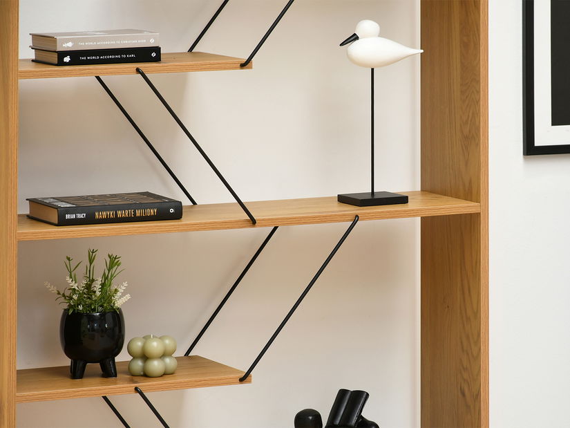 Obývacia stena Healey 1 (čierna)