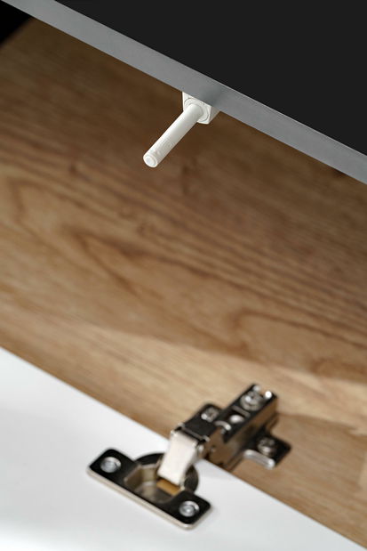 Mobilier living Salk (stejar ribbeck + negru)