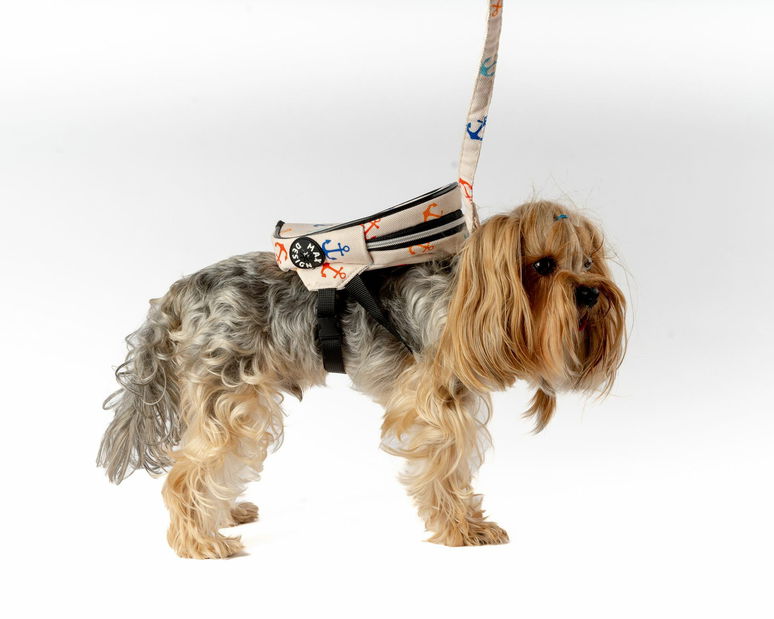 Postroj pre psa Lenny (biela)