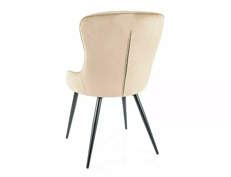 Étkezőszék Lloyd (bézs + fekete)