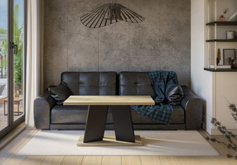 Konferenčný stolík Mulnu (artisan + čierna)