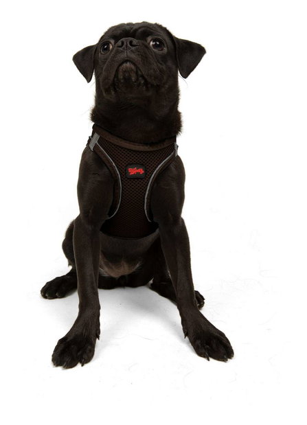 Postroj pre psa Airy (hnedá) (S)