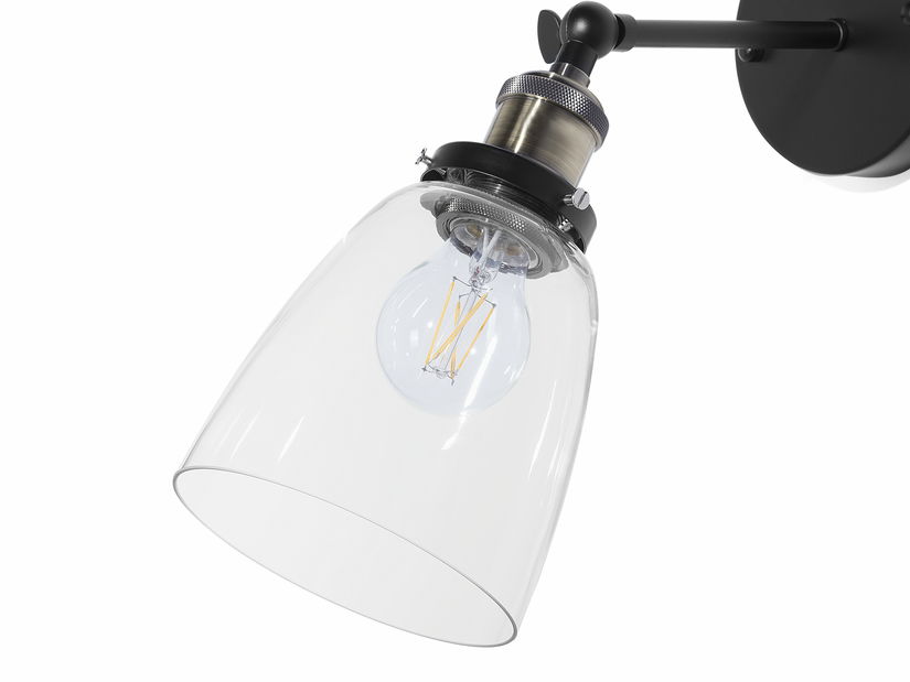 Stropné/nástenné svietidlo Lianus (čierna)