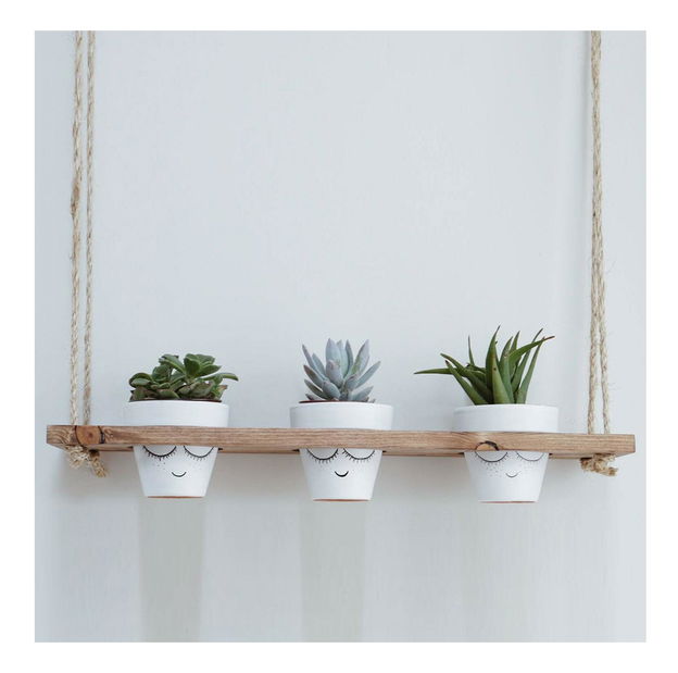 Polica Tulimu 1 (orah)