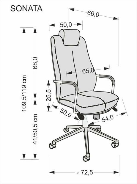 Irodai fotel Sonin (fekete + ezüst)