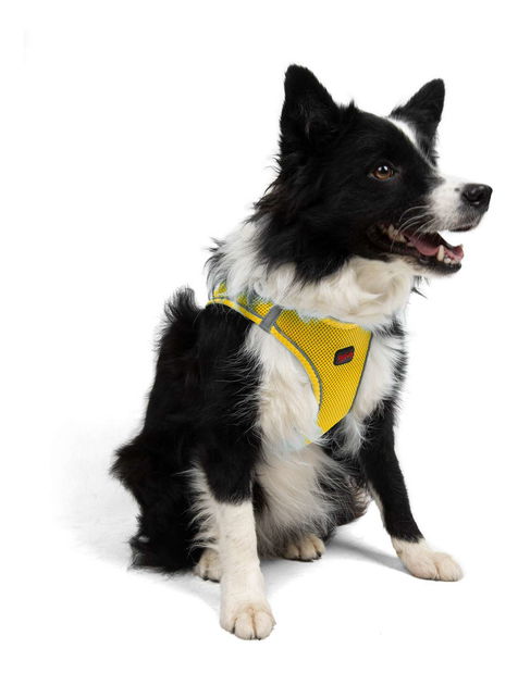 Postroj pre psa Airy (žltá) (S)