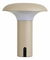 Kültéri LED lámpa Rodelia (bézs)